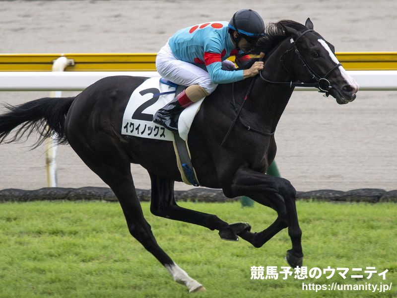 2歳次走報】イクイノックスは東京スポーツ杯2歳Sに照準｜競馬