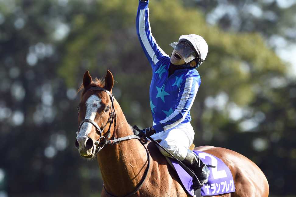 2022年高松宮記念Vのナランフレグが引退 種牡馬入りへ｜競馬