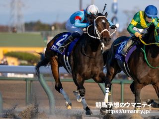 2021年の日本ダービー馬シャフリヤールが引退 社台スタリオン