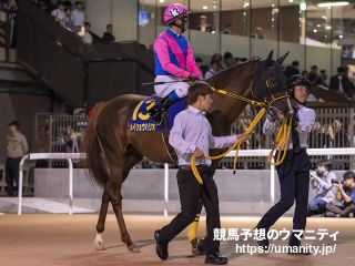 メイショウハリオ2017年産 - 競走馬データTOP｜競馬予想のウマニティ