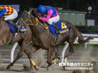 メイショウハリオ2017年産 - 競走馬データTOP｜競馬予想のウマニティ