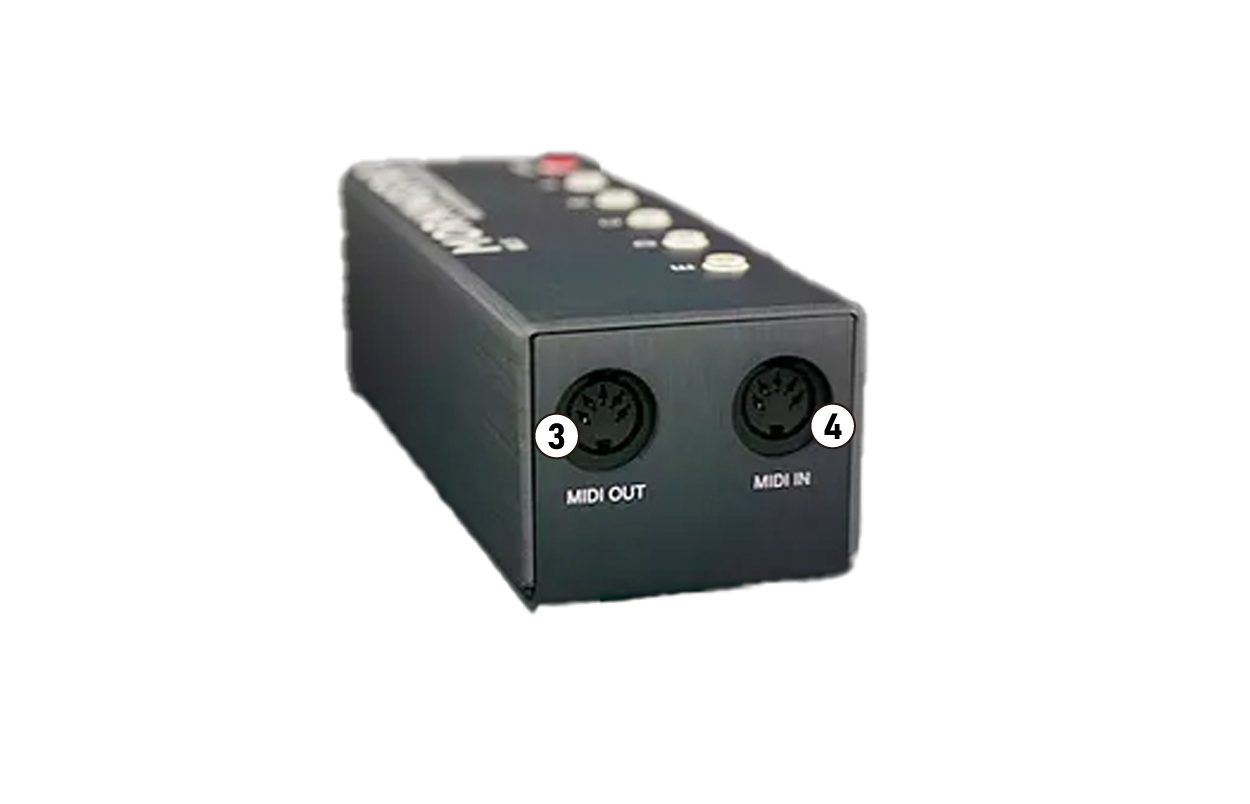 ML5 | Umbrella Company | アンブレラカンパニー