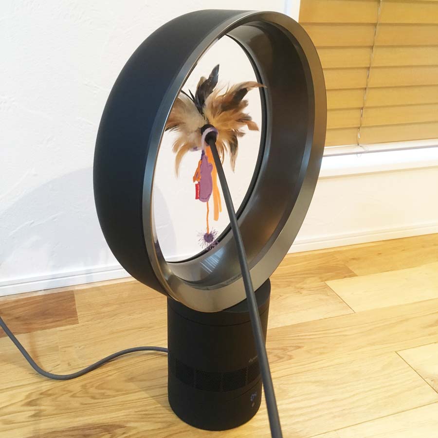 猫にも安全な扇風機！ダイソン「AM06テーブルファン」レビュー│海の