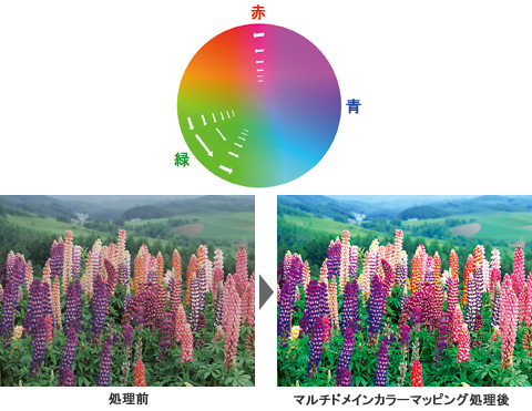 TL19DX3／地上・BS・110度CSデジタルハイビジョン液晶テレビ (ユニデン