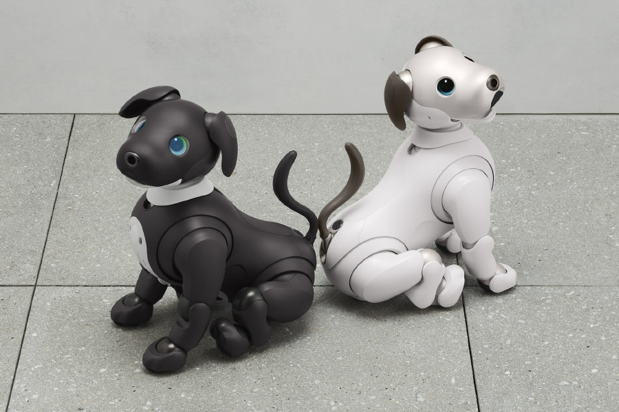 aibo - aibo Espresso Edition