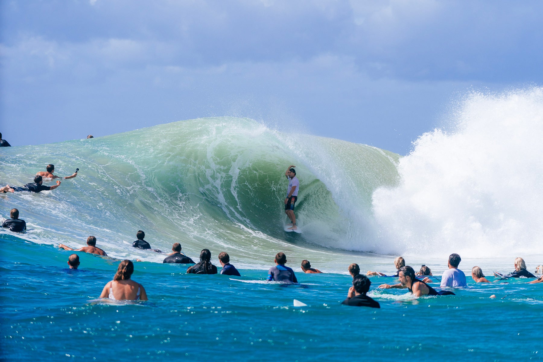 Forget Me Not 3 – JS Industries USA