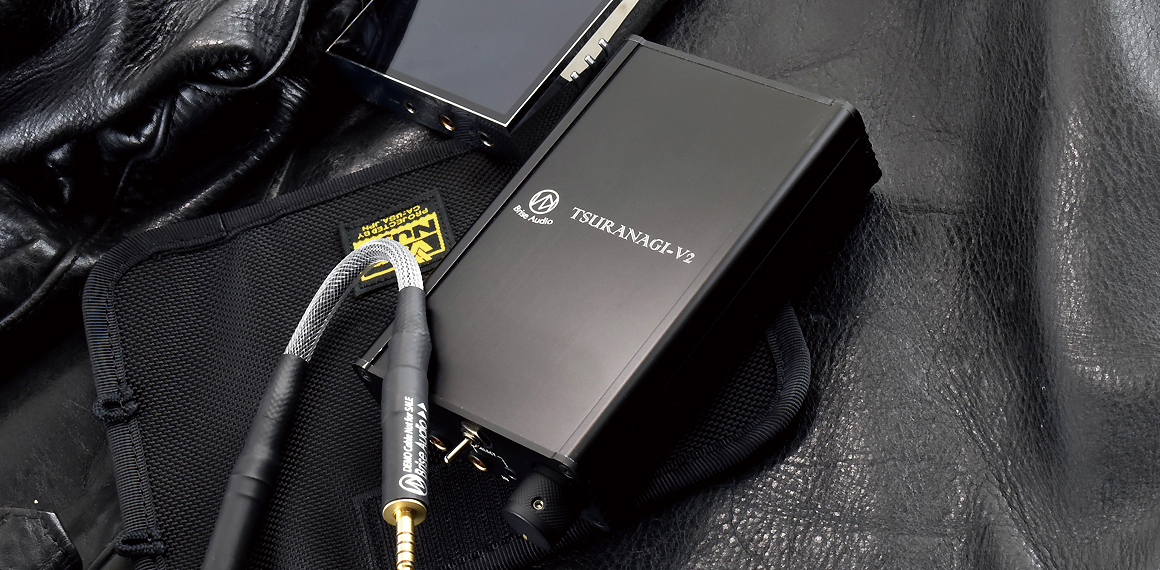 E600-TS：Brise Audio TSURANAGI・DAP収納ケース | バンナイズ | 鞄は