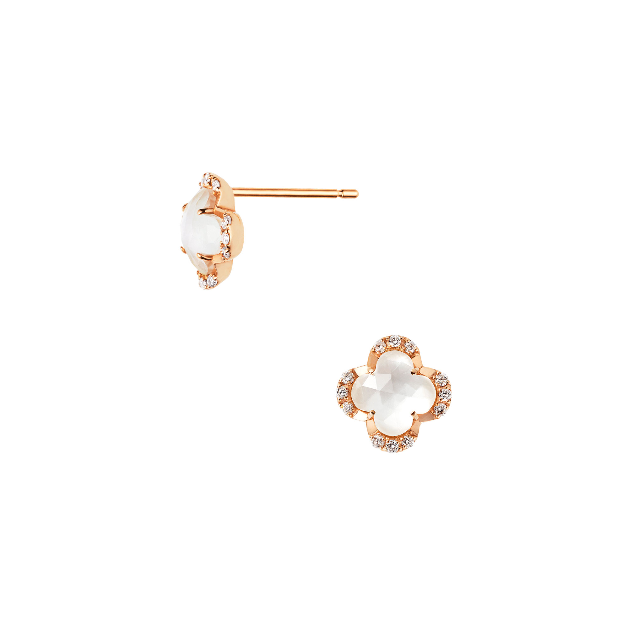 AGAA1117__QU_999_0_20240326150