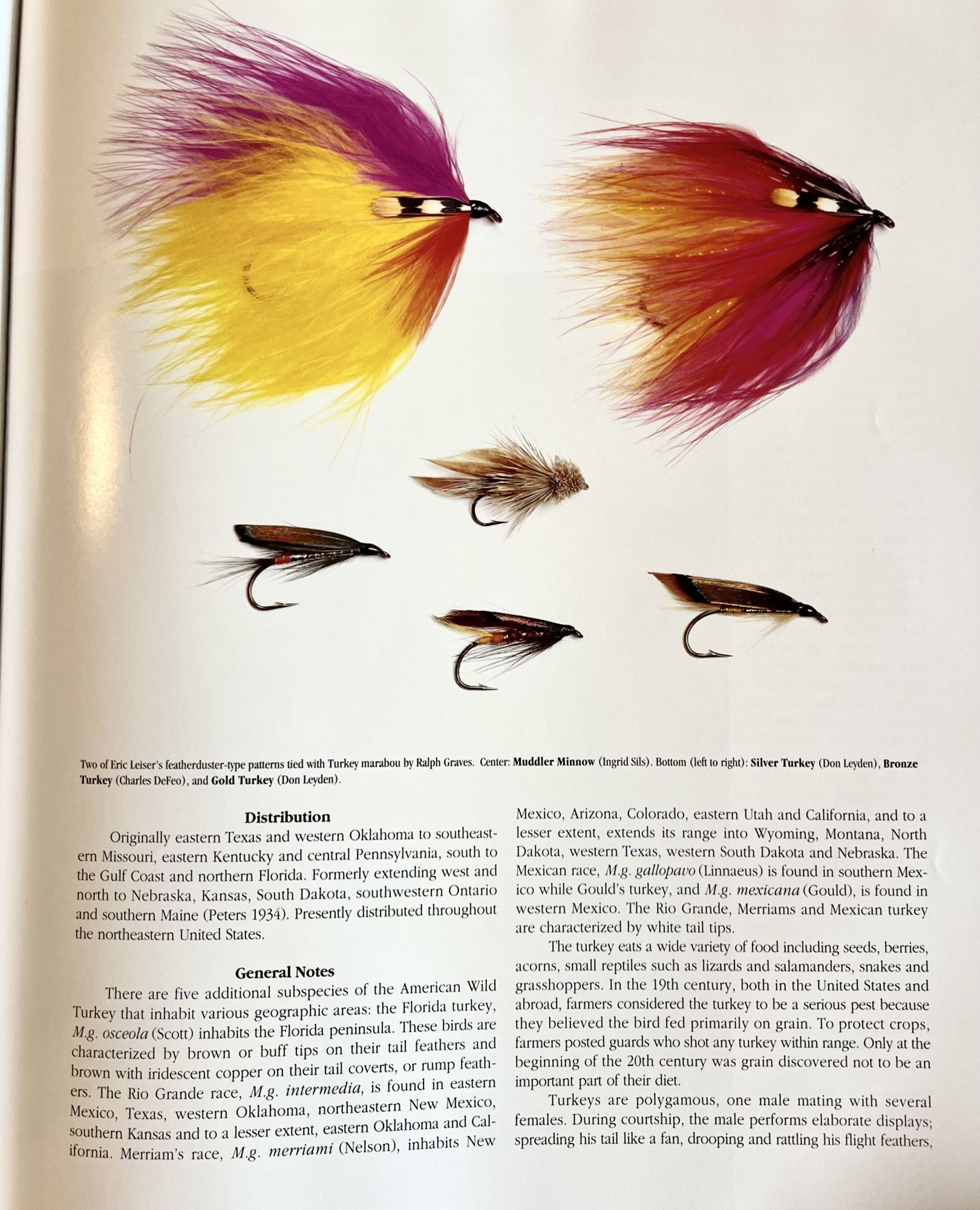 Rare and Unusual Fly Tying Materials: A Natural History Vol I