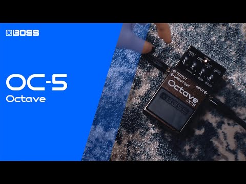 Boss OC-5 Octave Pedal - Vintage King