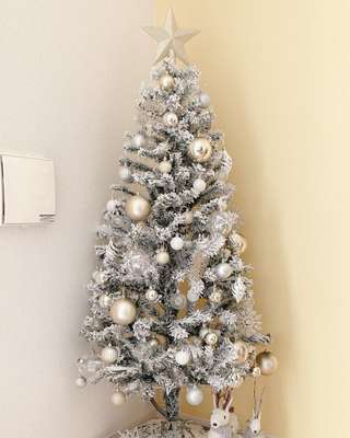 ヌードツリー(180cm スノー n2GS) | ニトリネット【公式】 家具