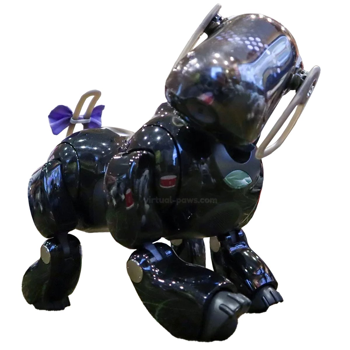 ERS-7 Aibo Overview | Learn About Aibo | Virtual Paws