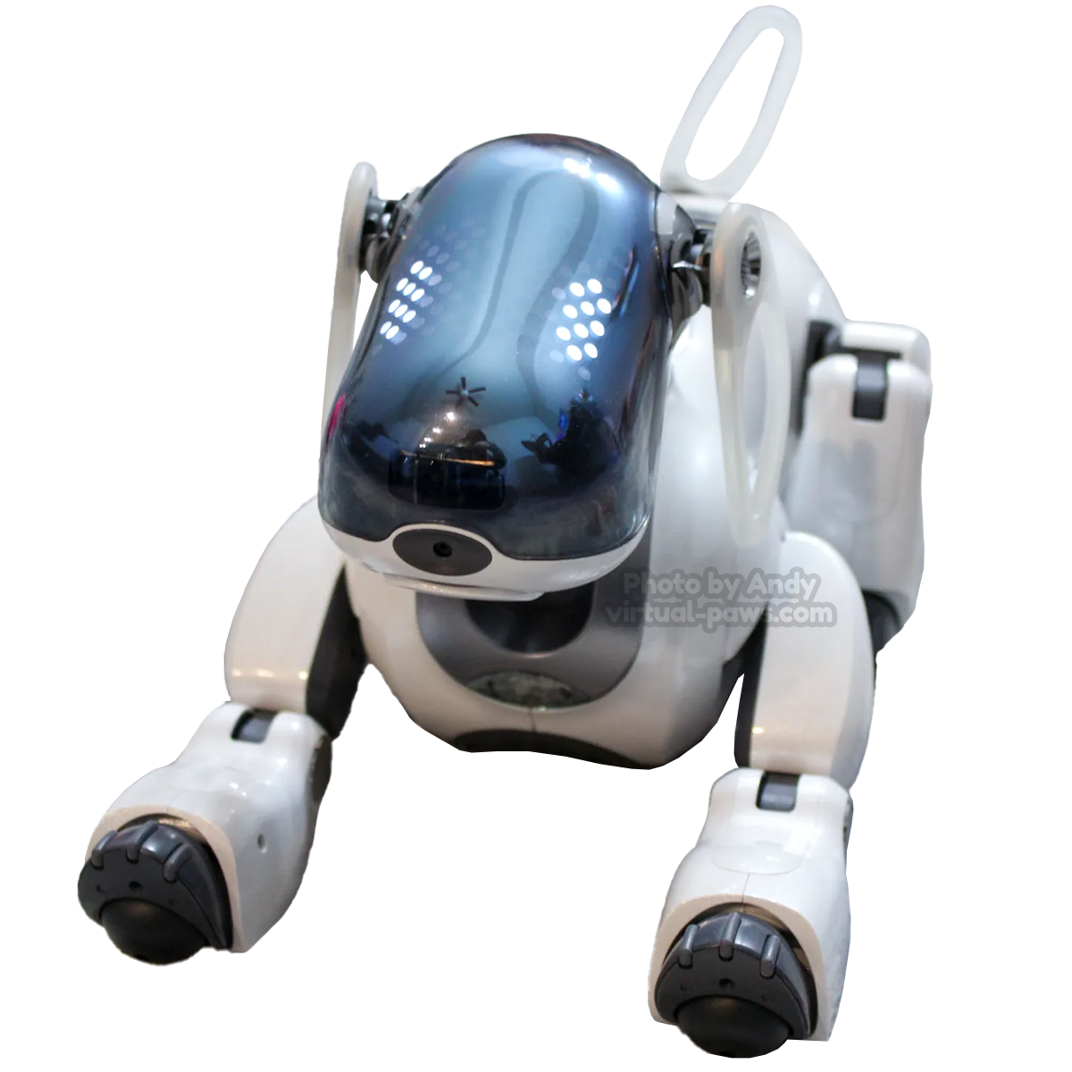 ERS-7 Aibo Overview | Learn About Aibo | Virtual Paws