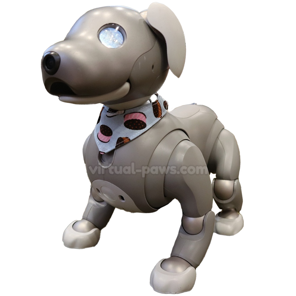 Aibo ERS-1000 Overview | Learn About Aibo | Virtual Paws