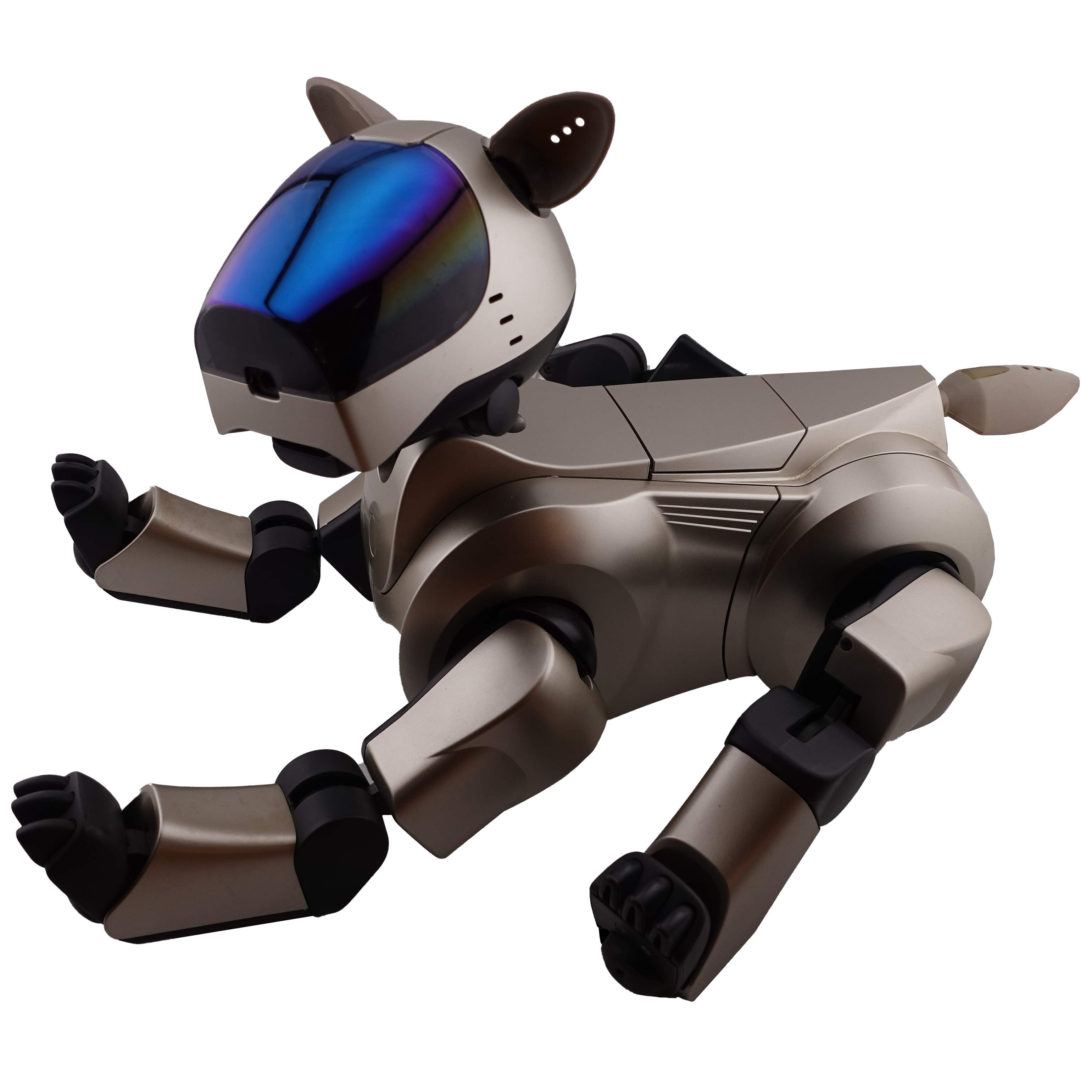 ERS-210 Aibo Overview | Learn About Aibo | Virtual Paws