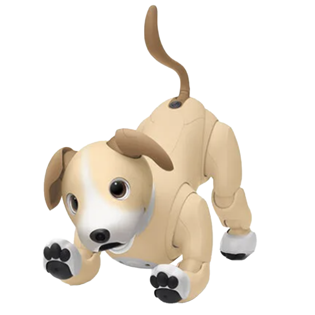 Aibo ERS-1000 Overview | Learn About Aibo | Virtual Paws