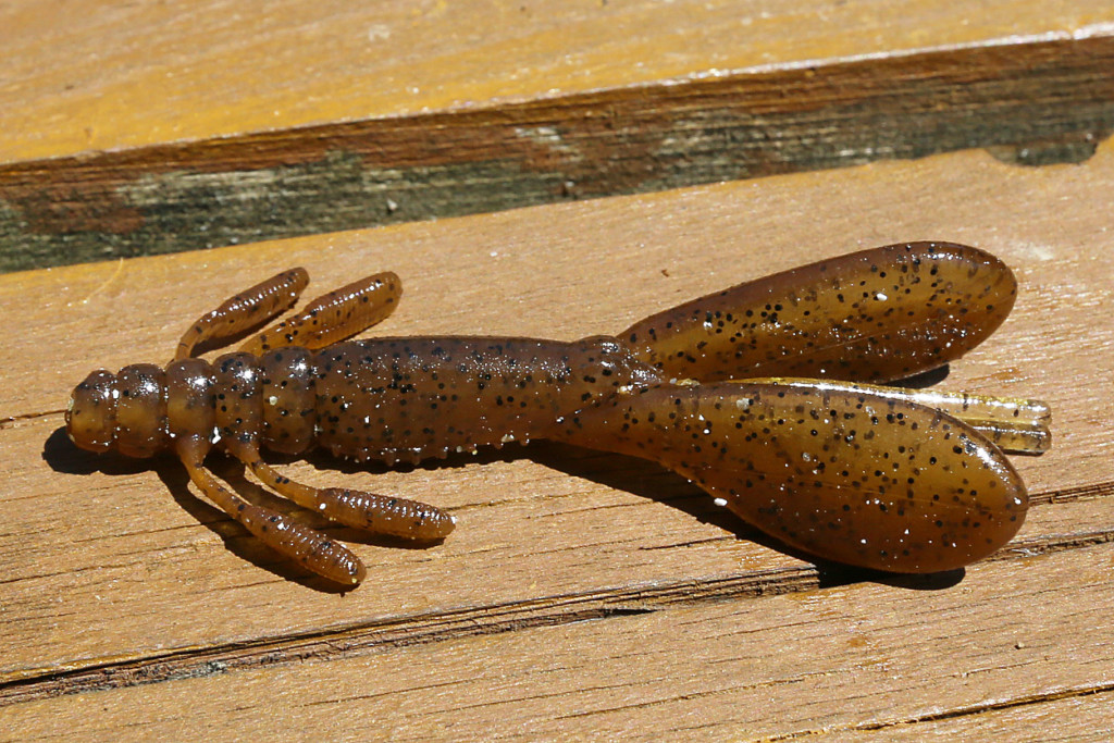 エスケープチビツインが釣れる秘密を暴露！【伊藤巧にクギヅケ！たくみ