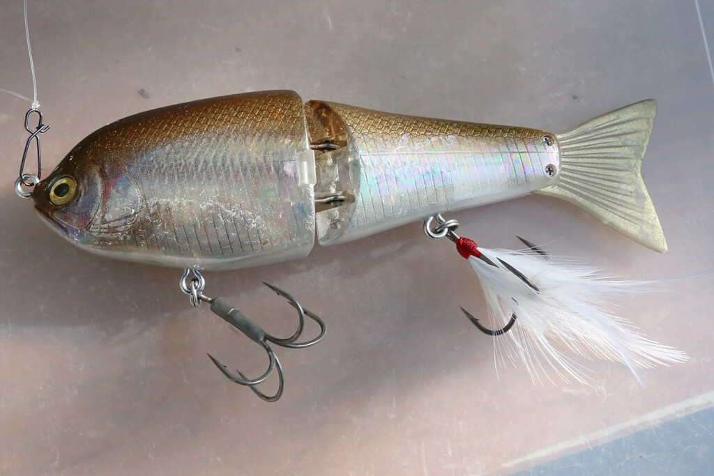 オニちゃんねるvol.21 「強さで寄せるヒラトップゲーム」 | 釣りの総合