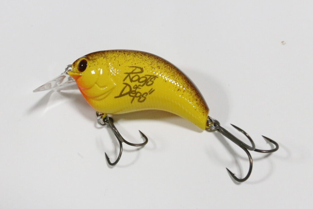 イヴォーク1.2限定カラー（Vish×Roots of Depsモデル） | 釣りの総合