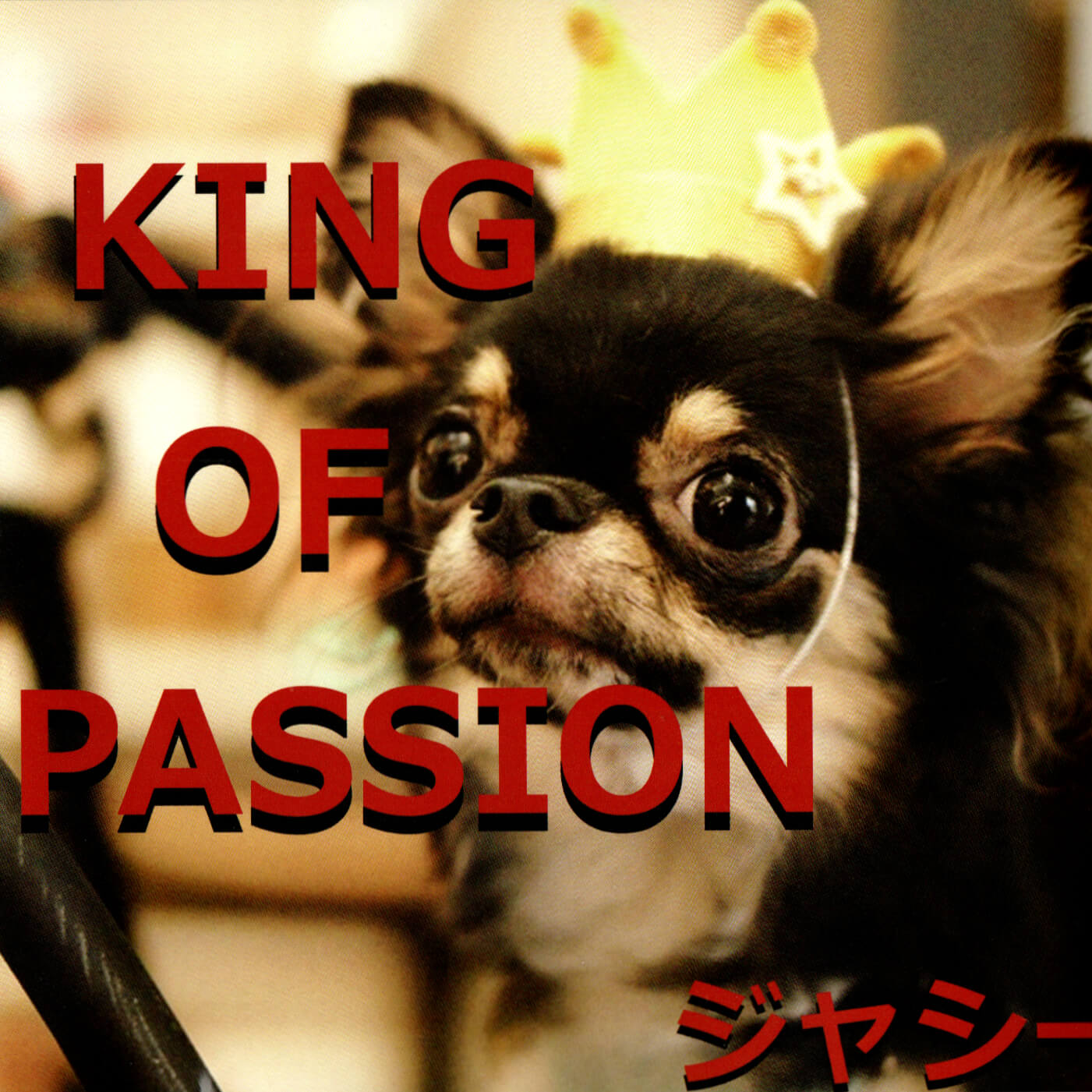 KING OF PASSION - SUPER JASSY | vkgy (ブイケージ)