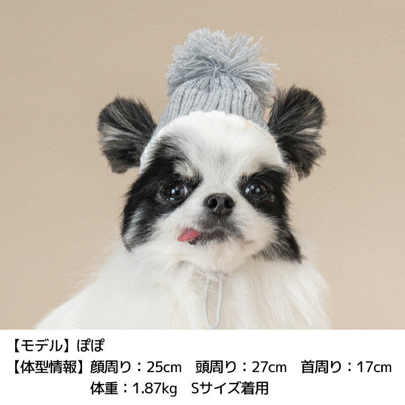 ビビットカラーニット帽 S/SM/M/L Solgra-ソルグラ- 犬用帽子 SO24AW