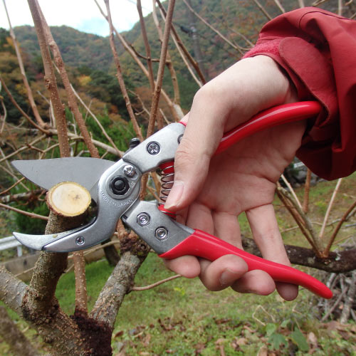 アンビル剪定鋏ブイエーエイト VA-8Z｜アルス《公式》園芸刃物ショップ