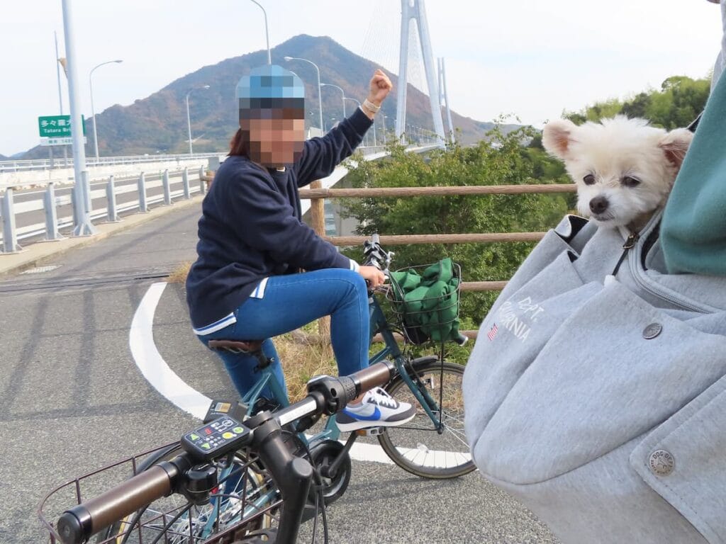 多々羅大橋をレンタサイクルで渡る！大山祇神社へ犬連れ旅｜わんこと