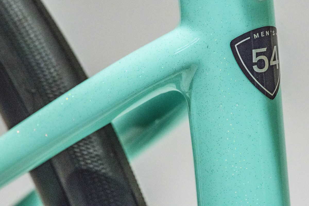 2019 スペシャライズド ターマック MEN コンプ ディスク - 轍屋自転車店