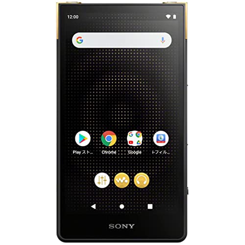 SONY ソニー ZX707 ハイエンドストリーミング ウォークマン – WAFUU JAPAN