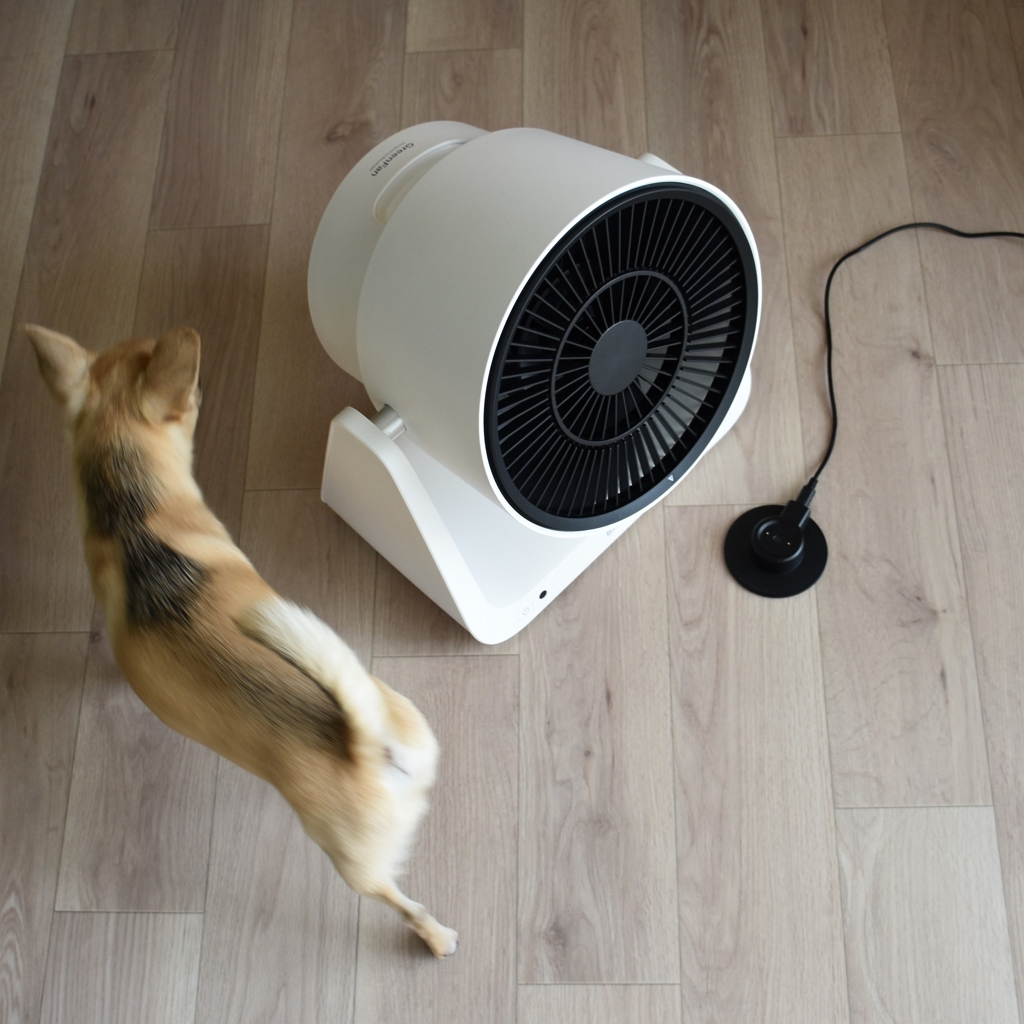 BALMUDA 】寿命はどれくらい？サーキュレーターのバッテリー＆ドックの