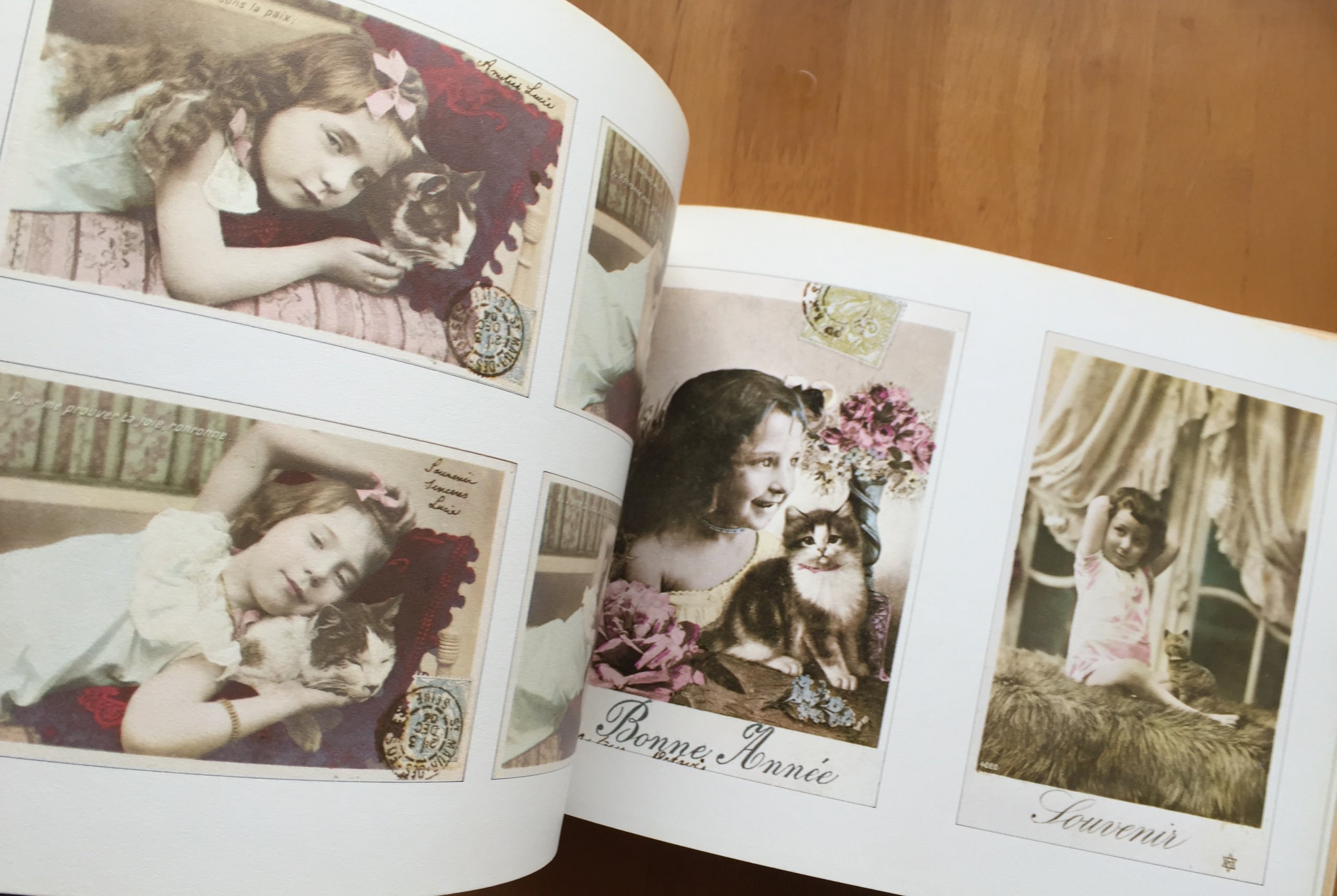 猫の館 Lovely Antique Cards（ソフトカバー版） | 猫本専門書店 書肆