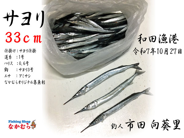 2025年10月27日 釣人：市田向葵里 様 | 釣りエサ・釣具 フィッシング