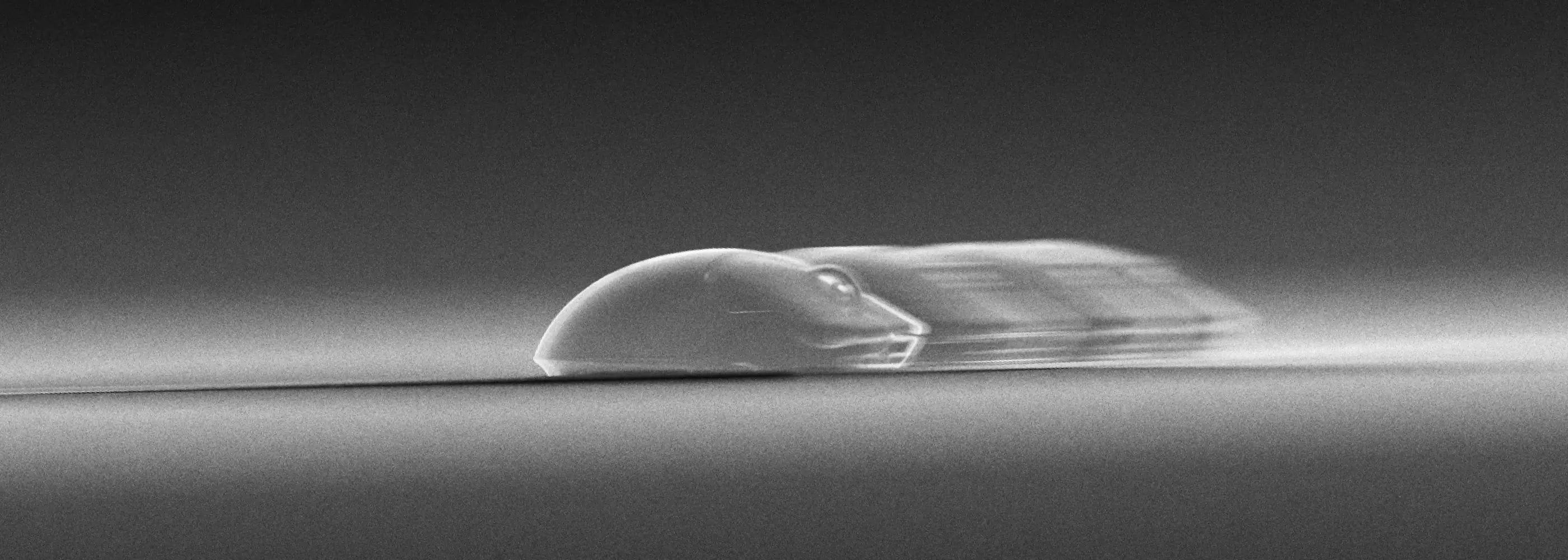 WALLHACK SP-005 (ブラック) | WALLHACK