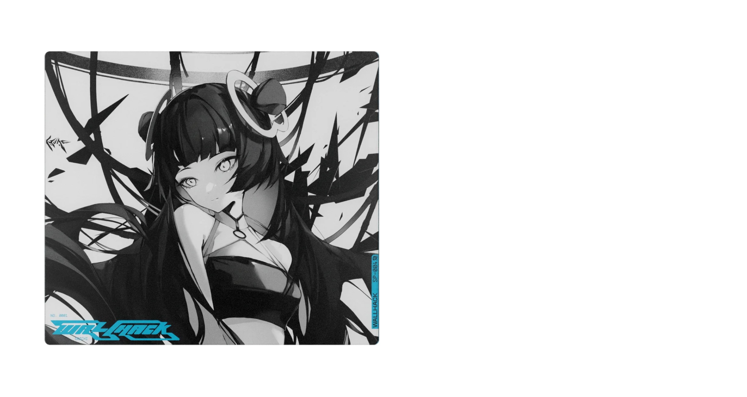 Limited Edition Products - WALLHACK