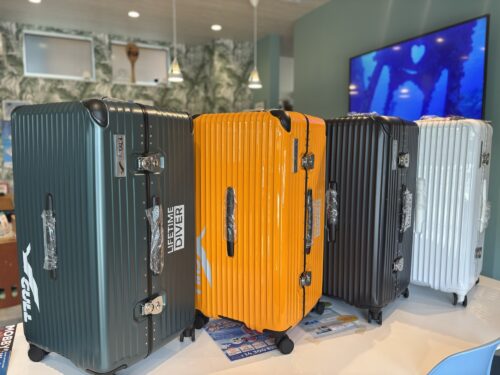 ハードシェルケース新色限定入荷しました。 | わっしょいダイバーズ