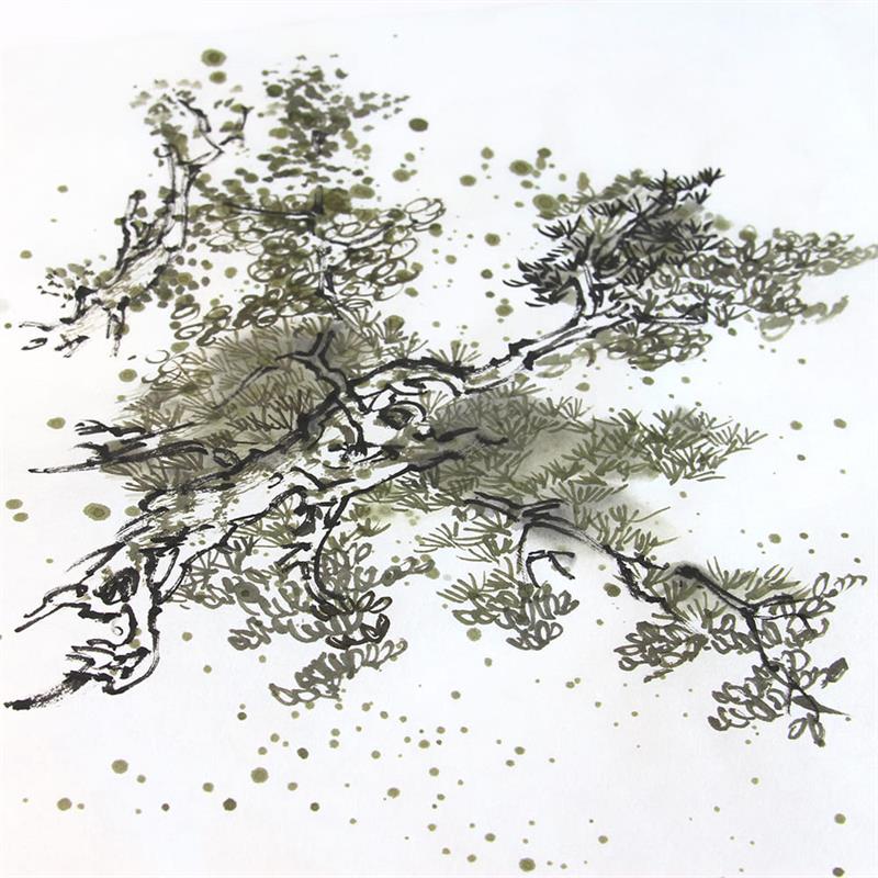 水墨画用紙 大色紙 30枚入 | 谷口松雄堂