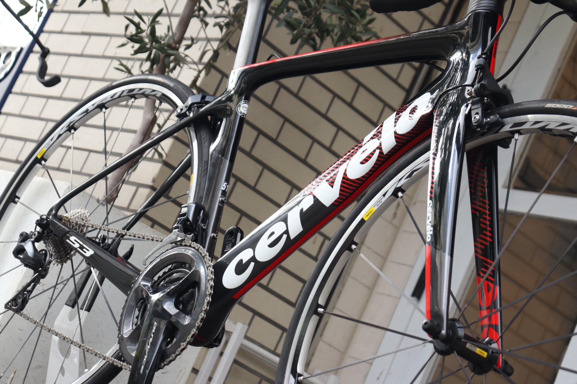 決算SALE サーヴェロ Cervelo S3 2019モデル 51サイズ シマノ