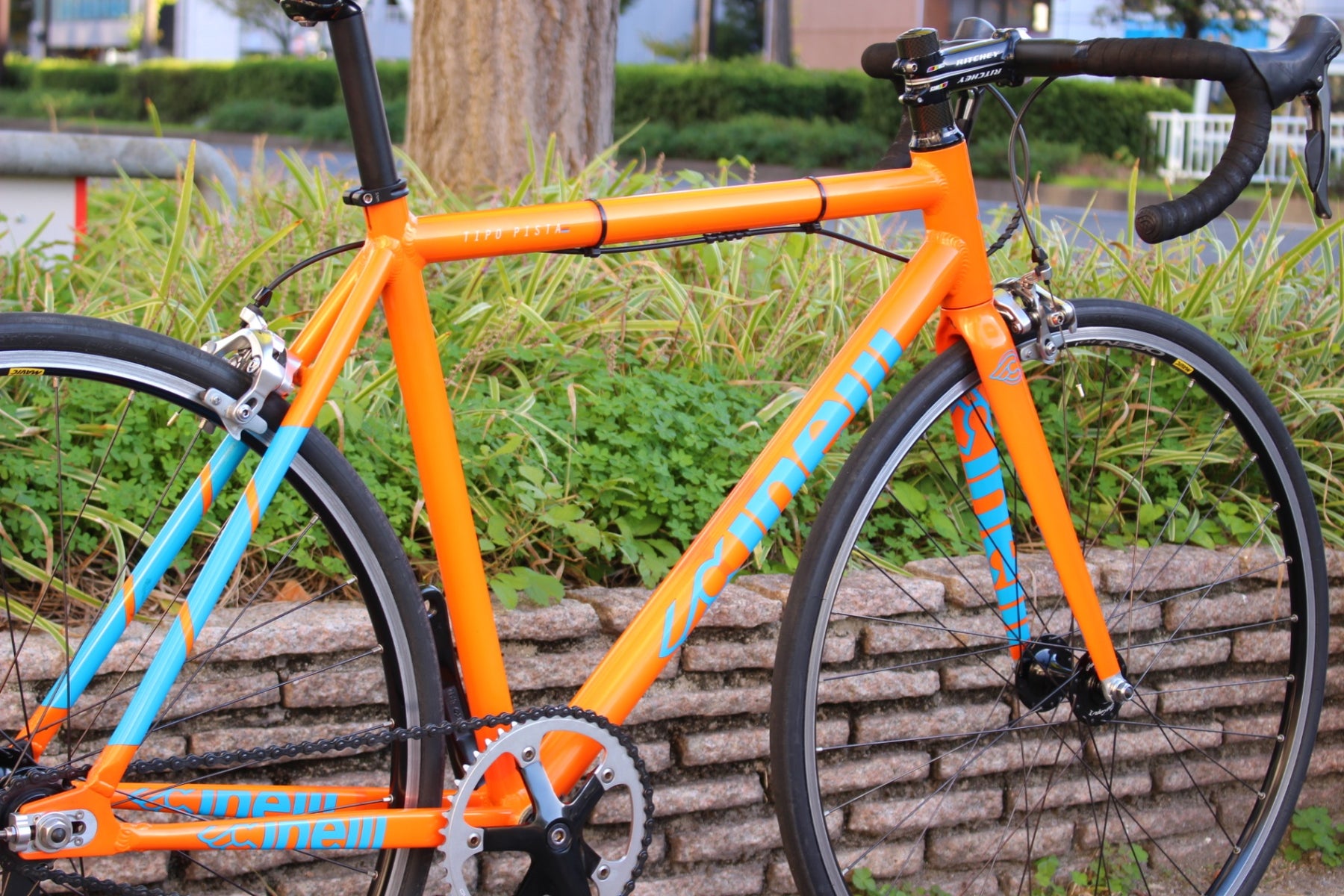 ZMSvms6yfkNxh2UC1ZZmAQQOFQUO4O