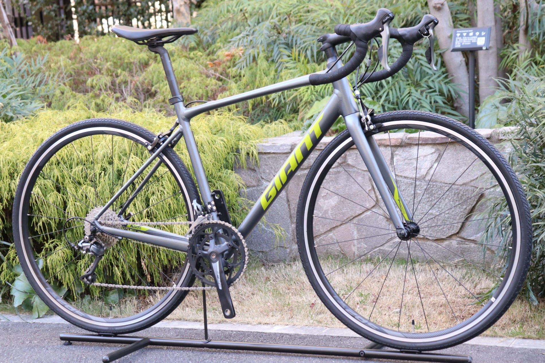 ジャイアント GIANT コンテンド CONTEND 2 2021 Mサイズ シマノ