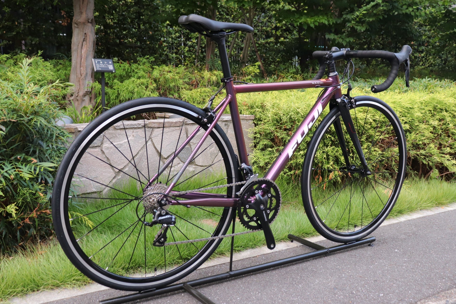 フジ FUJI ナオミ NAOMI 2023モデル 49サイズ シマノ ソラ R3000 9S