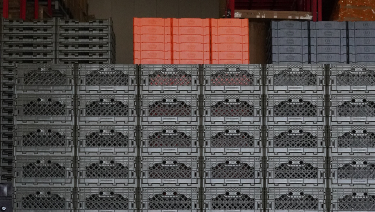 58055c64678f81109b2bc6a1b2246c