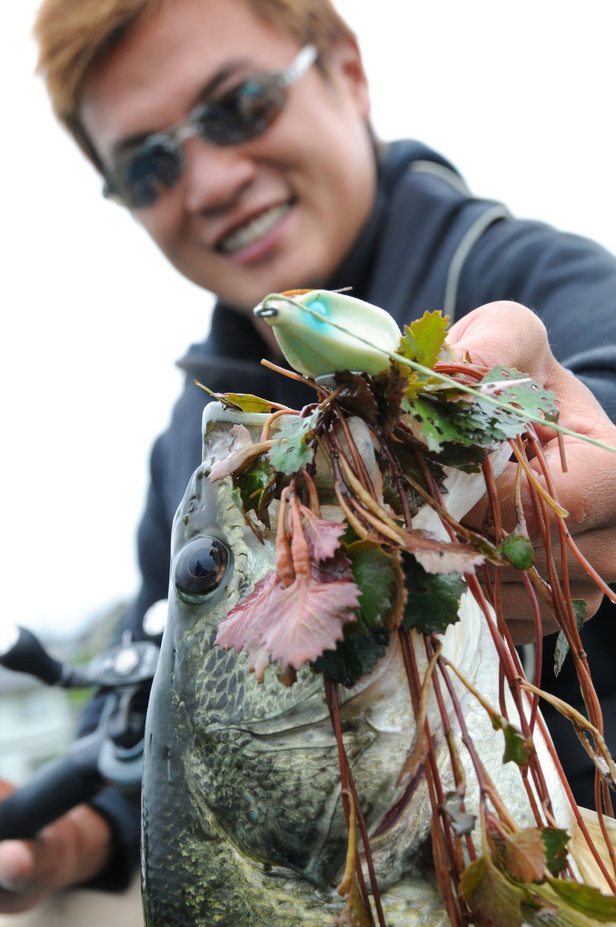 木村建太のフロッグロッド 「サイドワインダー・ブッシュバイパー