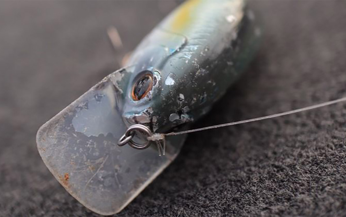 木村建太のセントラルオープン最終戦／グランドレイク | つり人オンライン