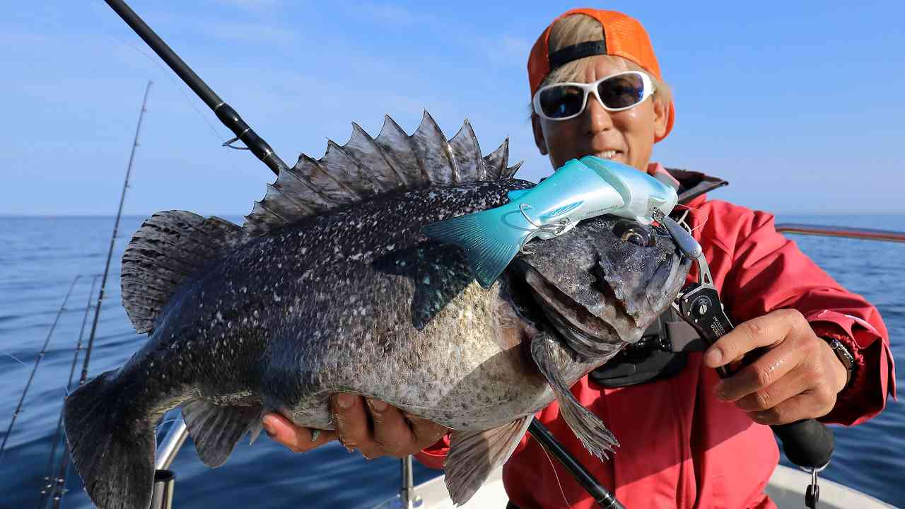 deps】巨大ソイをビッグベイトでねらう【北海道】 | つり人オンライン