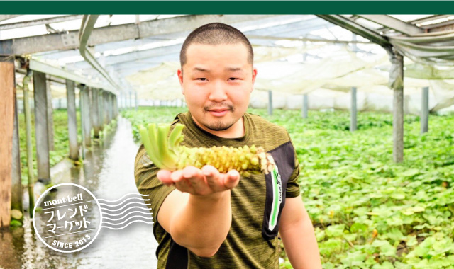 おろしわさび 100g｜モンベル