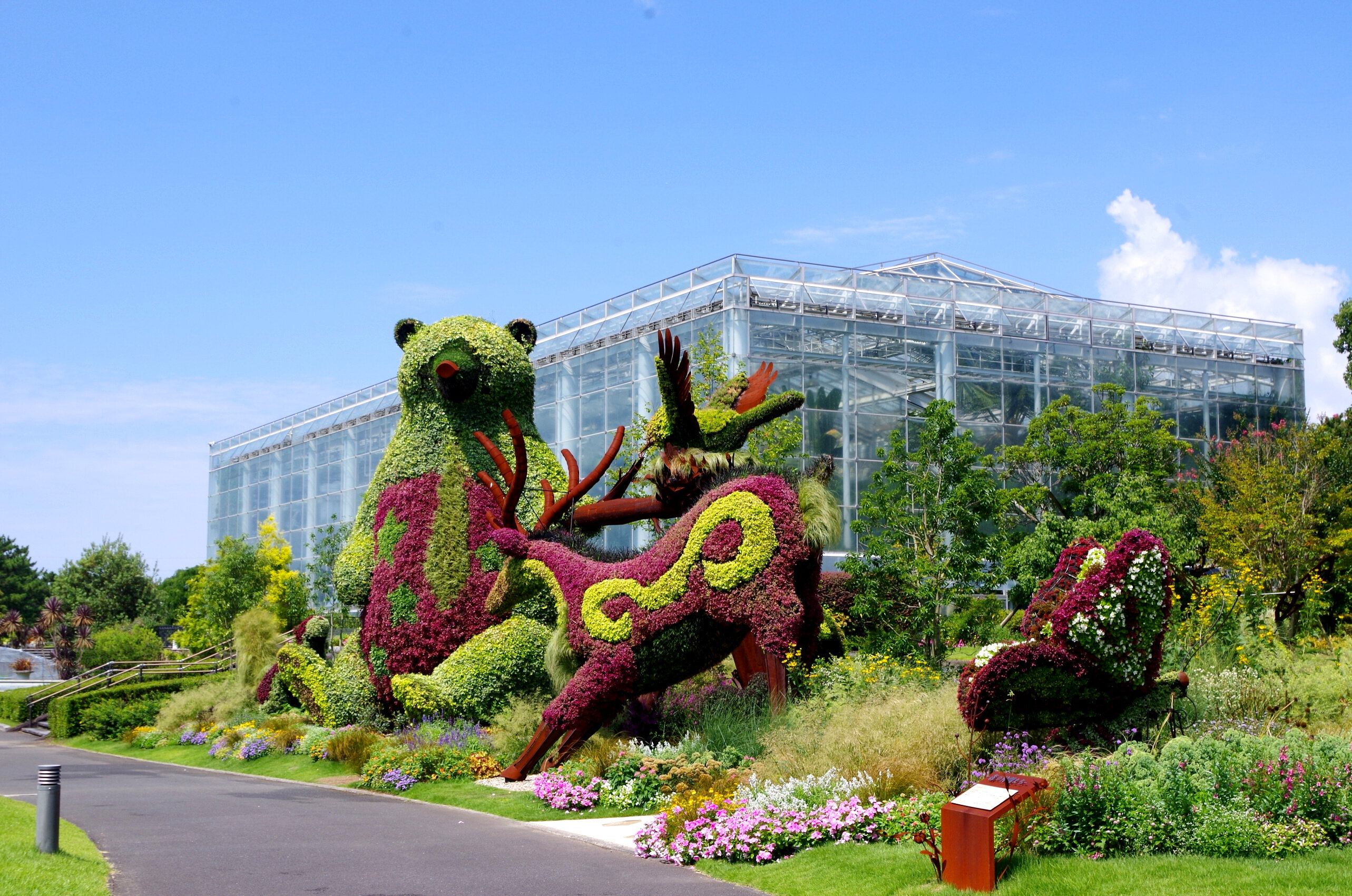 期間限定！浜名湖花博2024開催中！！いそげいそげ～｜ウェルシーズンの