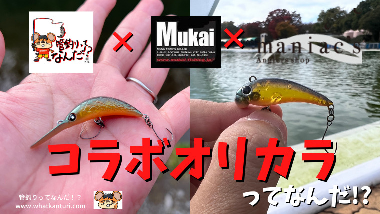 ムカイ『ザンム』＆『ポゴ』でオリカラ『マジョーラユッケ』発売決定! |