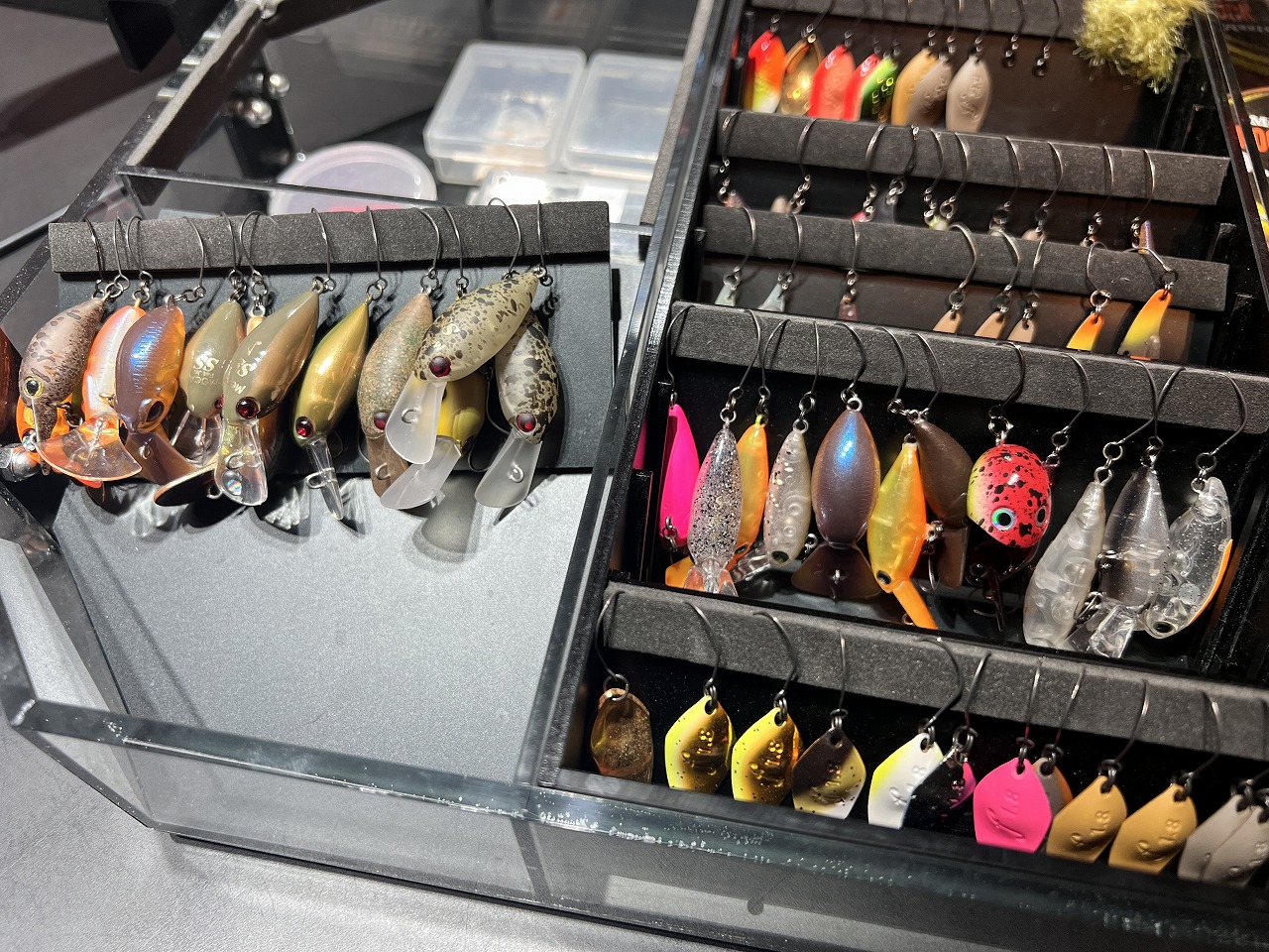 釣りで釣果を分けるポイント【レンジ→スピード→アクション→カラーの