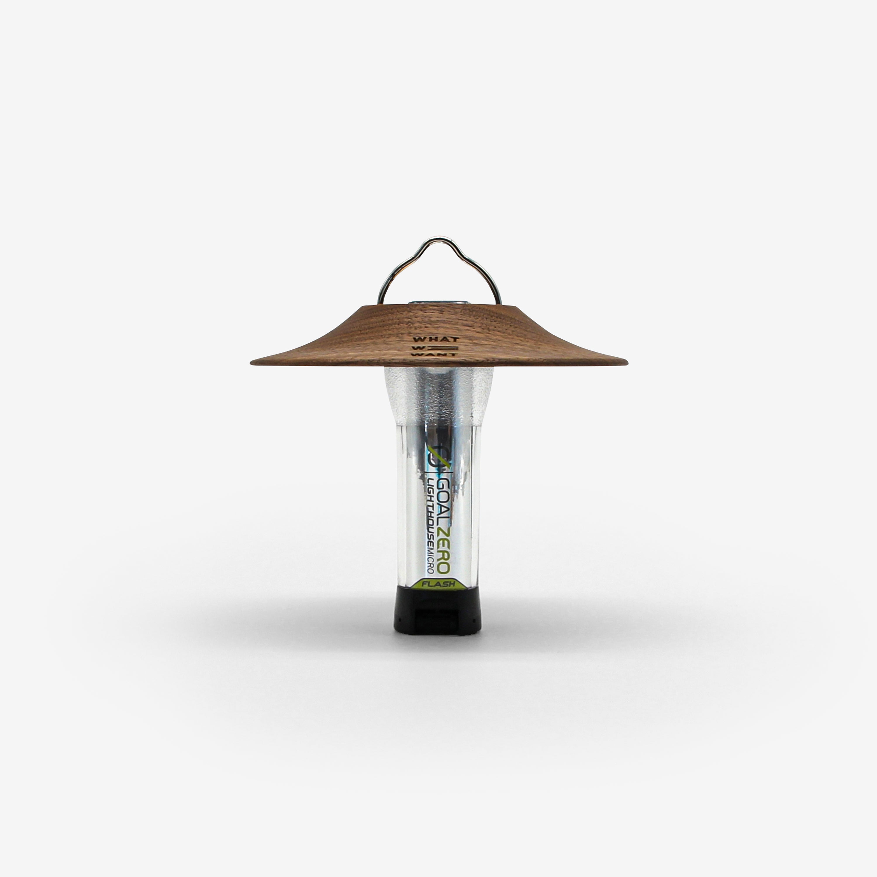 WWW_GOALSHADE_TYPE2 – WHAT WE WANT