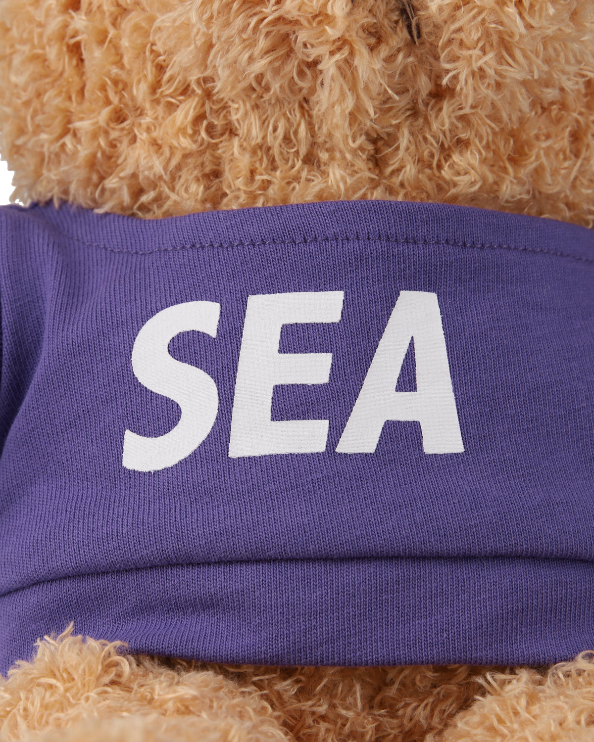 SEA TEDDY BEAR – WIND AND SEA